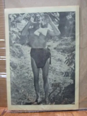 Tarzan 1970's Vintage Mini Poster Johnny Weissmuller Inv#G7227 • $19.99