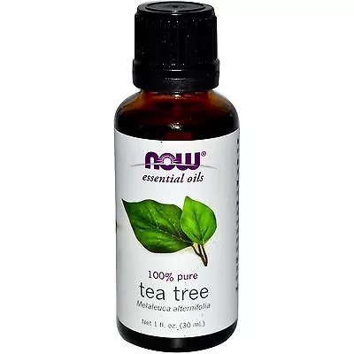 Tea Tree (100% Pure) 1 Oz - NOW Foods Essential Oils • $7.99