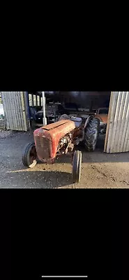 Massey Ferguson Fe35 Tractor Grey & Gold • £3000