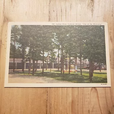 Vintage Indian River Catholic Shrine Lily Mohawks Linen Postcard Photo Souvenir • $4.50