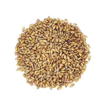 Hulled Barley Grain – 100% Whole Grain Vegan Great For Home Baking Brewing • $55.65