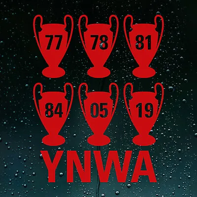 Liverpool 6 Times European Champions League Winners 2019 Vinyl Sticker Decal • £2.99