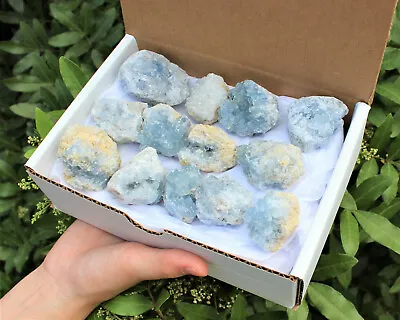 Natural Celestite Clusters - Wholesale Bulk 'A' Grade: 10-15 Piece Bulk Box Lot • $29.95