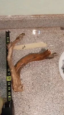  Aquarium Driftwood  Branch Perch Bird Manzanita Habitat Decor #215 • $25