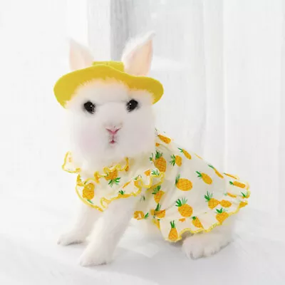 Bunny Harness And Leash Pineapple Dress For Rabbit Small Pet Rabbit Clothes Hat • $6.50