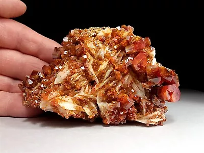 Double Sided Red Vanadinite & White Bladed Barite Cluster With Big Crystals  • $325