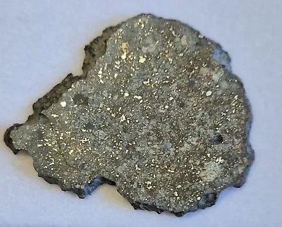 NWA 869  14.07g  L3-6 Chondite Meteorite Full Polished Slice  • £55.99