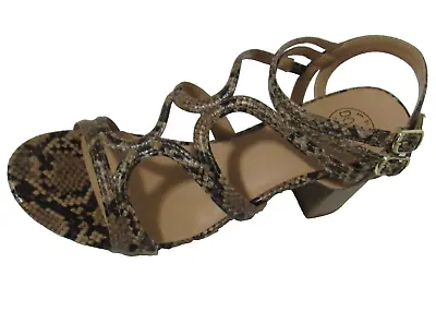 Dolce Mojo Moxy Salvador Sandals Womens 8.5 Strappy Chunky Heels Shoes Formal • $13.22