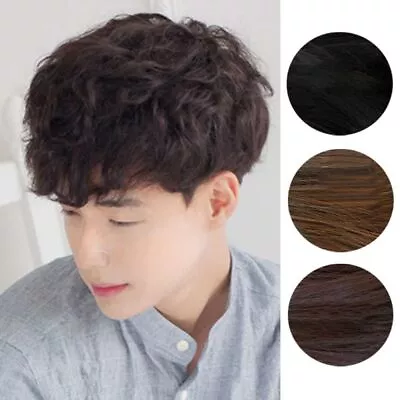 Men Synthetic Short Curly Hair Wigs Boy Costume Cosplay Party Daily Wear • $11.35