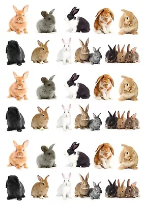 30 Stand Up Cute Rabbit Bunny Pet Animal Edible Wafer Paper Cake Toppers • £2.49