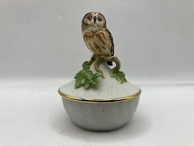 Vintage Maruri Small Trinket Box Saw-Whet Owl Sitting On A Branch With Sticker • $24.36