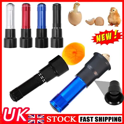LED Egg Candler Cool Light Egg Candler Tester Egg Candling Lamp LED Light UK • £6.64