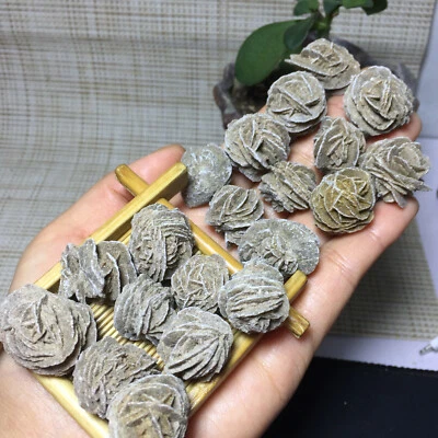 $18.02 • Buy 20pcs Rare DESERT ROSE SELENITE Specimen Crystal Stone Cluster 133g A4630