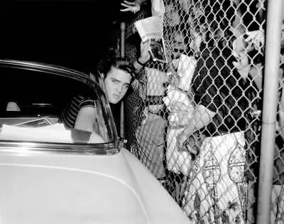 Elvis Presley Gets In His Car After Signing Autographs On August - 1956 Photo • $9