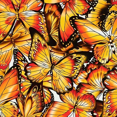 Fabric Butterfly Wings Monarch On White KAUFMAN Cotton 1/4 Yard SRKD-18708-130 • $2.99