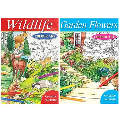 BEAUTIFUL Colour Therapy Relax Colouring Book Books DOODLE ART WILDLIFE FLOWERS • £5.49