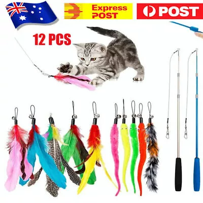 12PCS Kitten Cat Feather Toy Bell Wand Teaser Rod Interactive Play Pet Gift Toys • $13.99