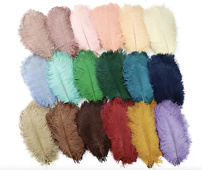 Coloured Ostrich Craft Feathers 5 Pack • $4.80