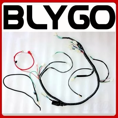 Engine DC Wiring Harness Wiring Loom 200cc 250cc PIT Trail Dirt Quad Bike Buggy • $25.14