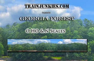 TrainJunkies Georgia Forest Model Railroad Backdrop • $79.95