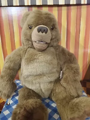 Maurice Sendaks Little Bear Your Friend Talking Laugh 16  Plush Toy Vintage 1998 • $19.99