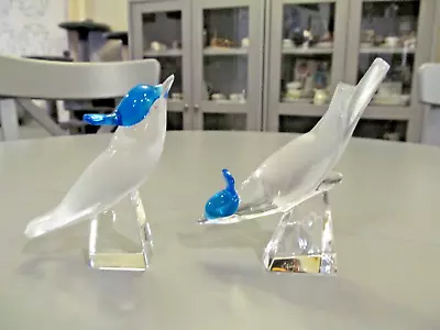 Pair Of Lalique Crystal Pimilco Blue Crested Blue Jay Figurines France • £178.37