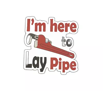 I'm Here To Lay Pipe Sticker • $2.90