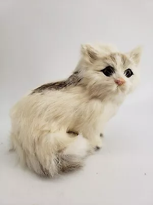 Real Rabbit Fur Cat White With Brown Eyes Long Hair • $18