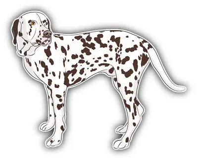 Dalmatian Large Dog Car Bumper Sticker Decal • $2.75