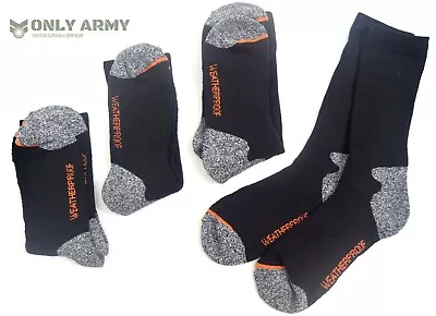 4 X Pairs WEATHERPROOF® Outdoor Socks Thermal Cushioned Work Hiking Walking Sock • £11.50