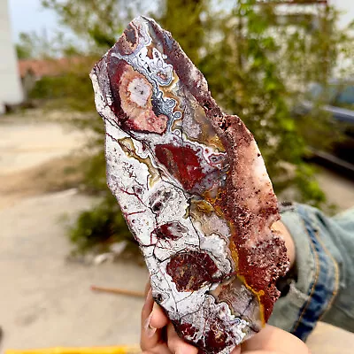 367g Natural Mexican Crazy Lace Agate Raw Polished Rock Slab Specimen Reiki • $152.10