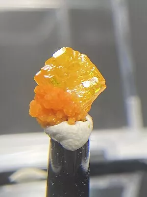 Gorgeous Tiny Wulfenite With Mimetite - San Francisco Mine Mexico • $55