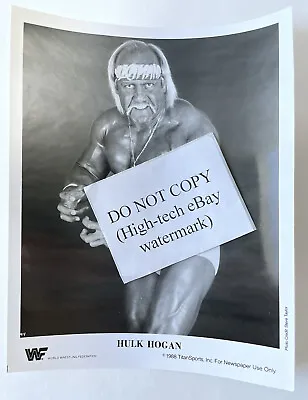 Vintage 1988 WWF Press Promo Hulk Hogan Glossy Photo Steve Taylor • $42