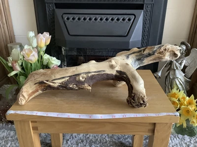 £6.99 • Buy Driftwood , Aquarium, Vivarium, Art, Craft,shop Window/Floral Display,