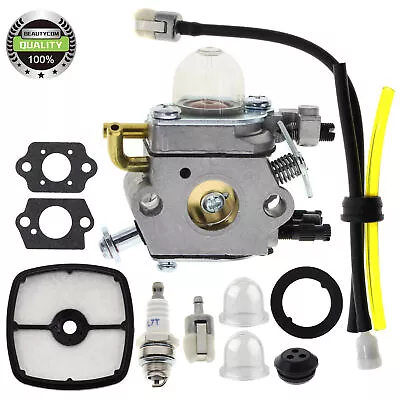 Carburetor 50-616  For Echo PB2100 PB-1000 Power Blower # STENS 615-116 Oregon • $16.75