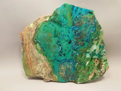 Parrot Wing Chrysocolla Malachite Polished Stone Slab Rock #O1 • $120