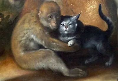 Art Print Large Monkey Holding Cat Pet Animal Love  Giclee Oil Painting Printed • $9.99