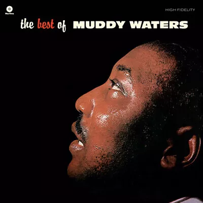 Best Of - Muddy Waters - Record Album Vinyl LP • $26.99