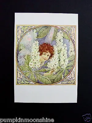 Vintage Margaret W. Tarrant UK Greeting Post Card   Chestnut Candles   • $24