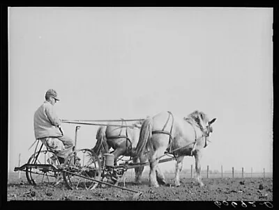 8  X 10  1940 Photo Using Two-row Horse-drawn Corn Planter. Grundy County • $16.95