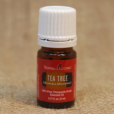 Young Living TEA TREE 5 ML Essential Oil NEW Unopened SHIPS 24 Hrs • $13.95