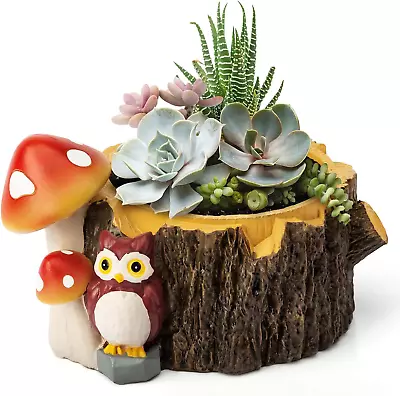Yiiwinwy Owl Succulent Planters Flower Plant Pots For Plants With Drainage Hole， • $26.33