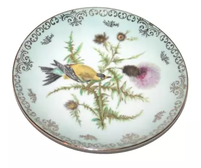 Lipper & Mann Creations Bird Plate Hanging Japan 7  Wall Decor Vintage • $6.95