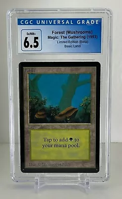 Forest (Mushrooms) 1993 Beta Set  Graded CGC 6.5 Excellent/NM+ Legacy MTG Cards • $22.99