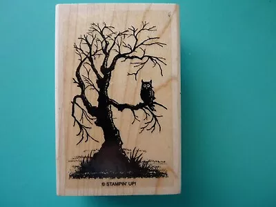 Spooky Bare Tree With Owl On Branch STAMPIN UP Rubber Stamp • $13.99