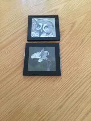 £5 • Buy 2 X Owl Design Black Rim Glass Coasters