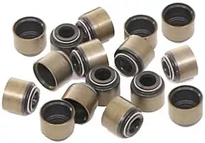 Inlet & Exhaust Valve Stem Seal Set-holden Rodeo Tf Tfr55 Tfs54 Tfs55 2.8l 4jb1t • $44.52