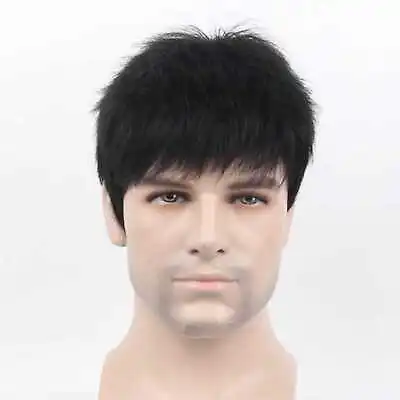 Mens Short Black Brown Hair Wig Synthetic Daily Natural Cosplay Party Full Wigs • $15.78