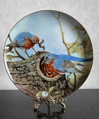 2 Owen Gromme Cardinal & Blue Bird Family LE Collector Plates Wild Wings • $25