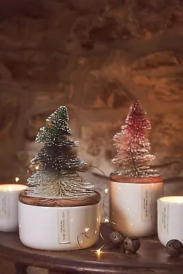 Anthropologie Christmas Tree Candle (Quince & Spice) Gift • £23.99